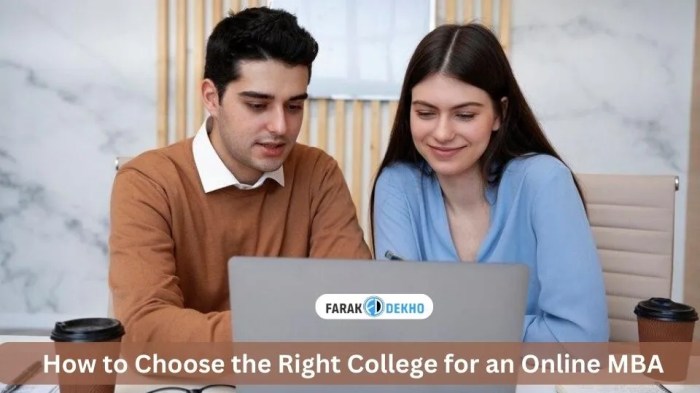 How to Choose the Right College for an Online MBA in India 2024