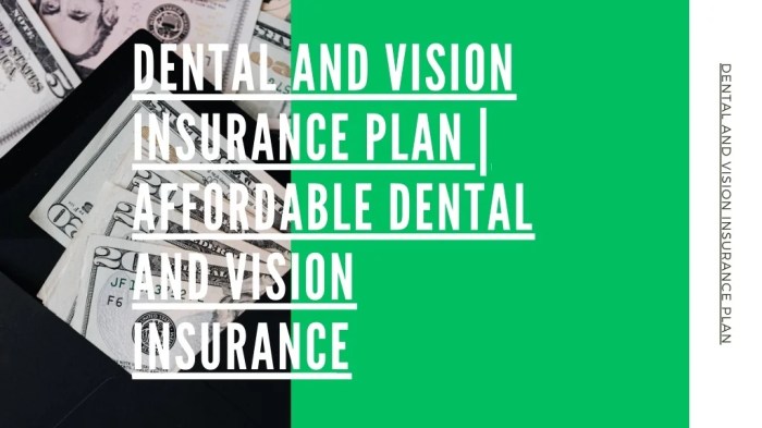 PPT - Dental and Vision insurance Plan Affordable Dental and Vision ...